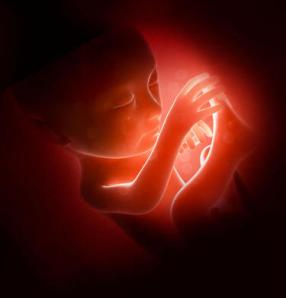 abortion-debate-what-does-god-say.jpg.crop_display