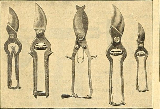 14762800334_a3e6498bb3_c